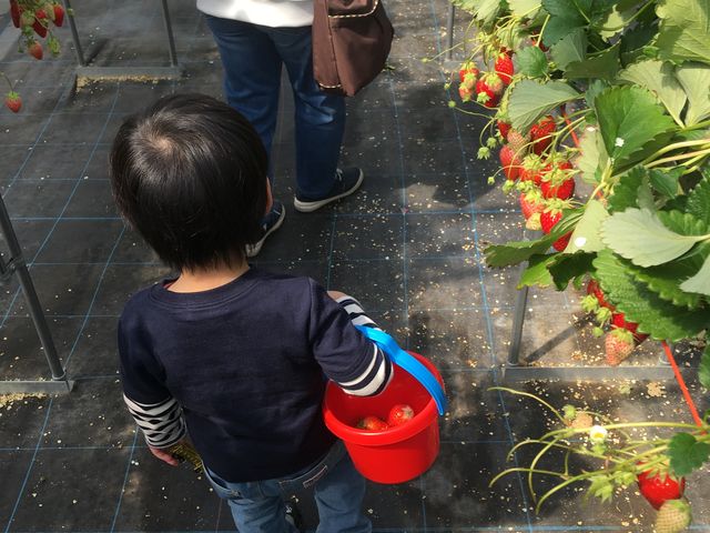 䕎��_�_���g���@�l�@���Ă�܉c�_�g��