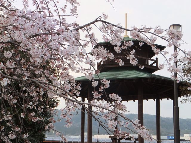 �����̖k�[�ɂ���L��̓����F�o���a�̎p�����`�[�t�B_����͐��ӌ���