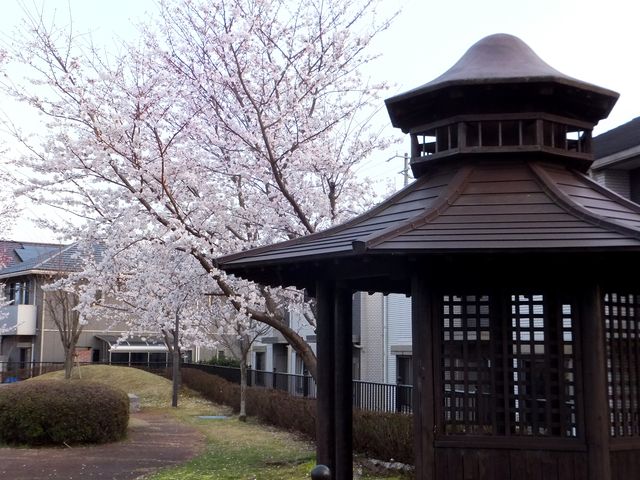 ��ݑ��̓����F������o���a�����`�[�t�B_����͐��ӌ���