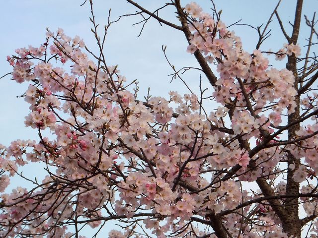 ���ފ݂́A�т�����Ԃ��W�܂��Ă��銴�������܂��B_����͐��ӌ���