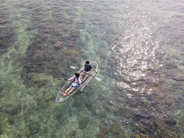 �h���[������̎B�e�����Ă��������܂����I_�{�Ó����]�[�g�X�|�[�c