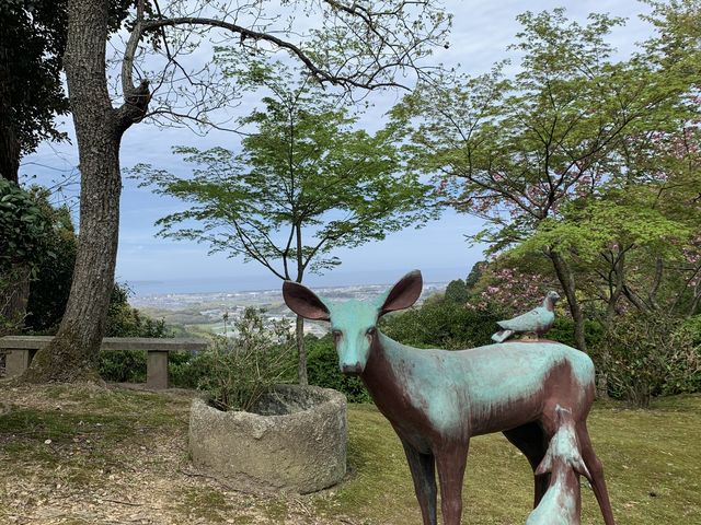 �x�X�g����̋��R���̍��E�c�c�W�̓��e�ʐ^4