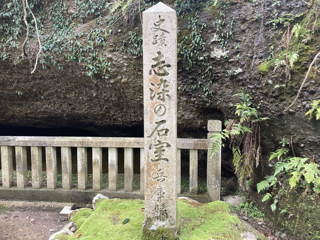 Ƃ񂳂̎u̐Ύ̓eʐ^3