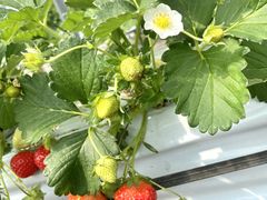 ̈t@[i--jւ̓eʐ^1