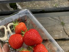 ̈t@[i--jւ̓eʐ^1