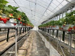 ̈t@[i--jւ̓eʐ^3