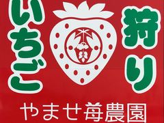 񂪂炳̂܂C`S_ւ̓eʐ^1