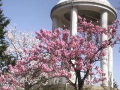 ����������̍����r�N�A�K�[�f���ւ̓��e�ʐ^2