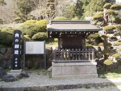 \tgȏS 58΂̎Rւ̓eʐ^5