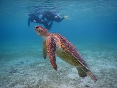 ƂSEA ENJOYւ̓eʐ^1