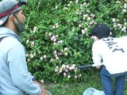 OKINAWA.NATURE.ASHIBI̓eʐ^2