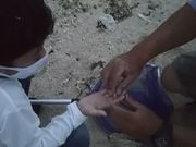 OKINAWA.NATURE.ASHIBI̓eʐ^3