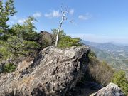 �ނ炳�񂳂�̌�Ԑ_�Ђ̓��e�ʐ^7