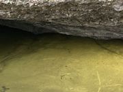 Ƃ񂳂̎u̐Ύ̓eʐ^1