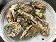 �Ղ�����̖���I��������̏h�@���������R��̓��e�ʐ^1