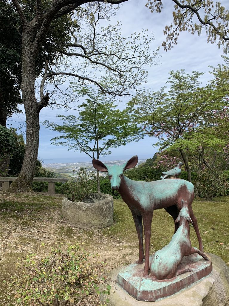 筑前植木駅周辺の動物園 植物園ランキングtop10 じゃらんnet