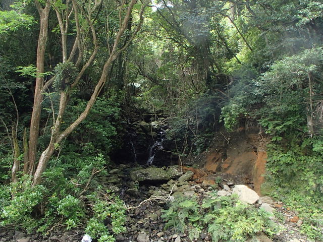 ��ɒ�����鐅�̉��A���̖����A�؁X�̂����炬���ƂĂ��f���炵�������ł��I_aquastyle