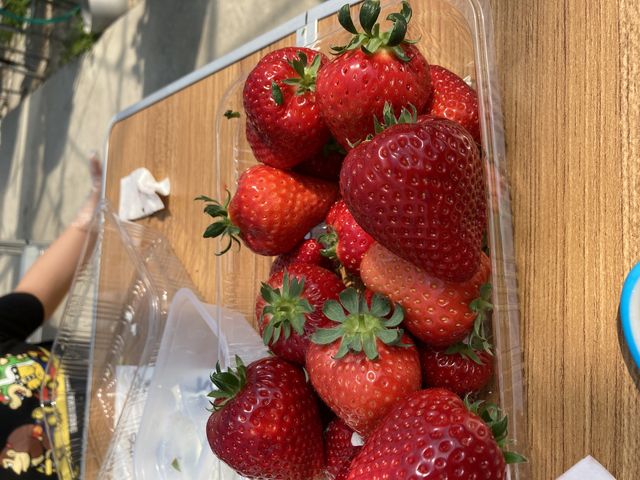 �������Ȃ������ɂт�����ł����B
�Â��Ĕ��������������ł����B_��{�ό��������g��