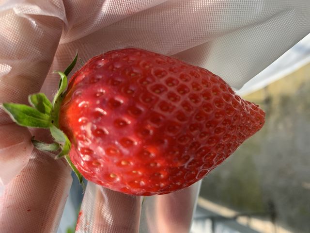 �Â��`_�@���΂Ԃǂ����