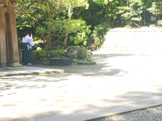 �����_�E����_�\�F�_��