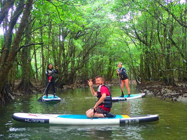 �����I�s�����I_���\���R�����u�X