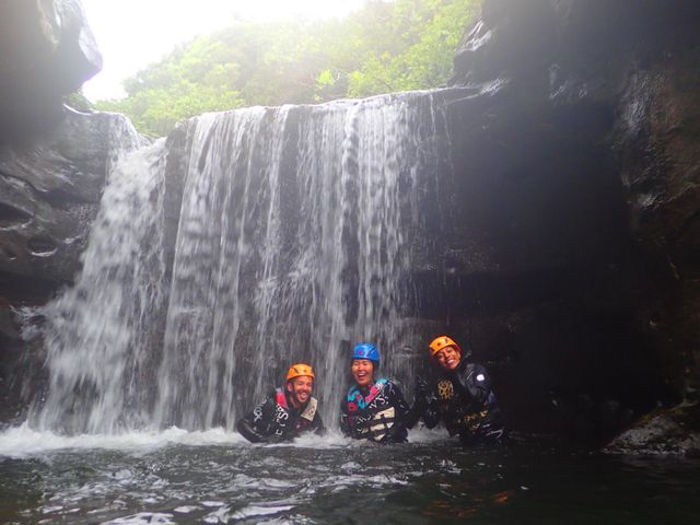 �y�����I_���\���R�����u�X