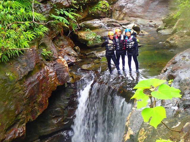 �L���m�j���O��_���\���R�����u�X