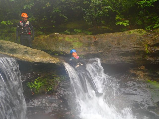 �R���C�I_���\���R�����u�X