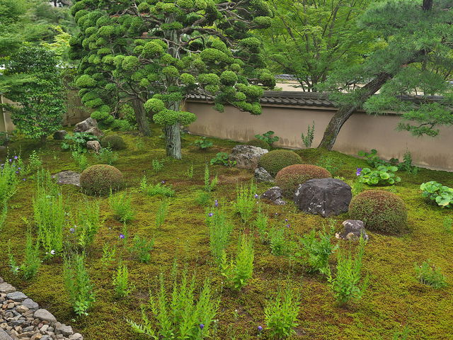 �V���@_�V���@