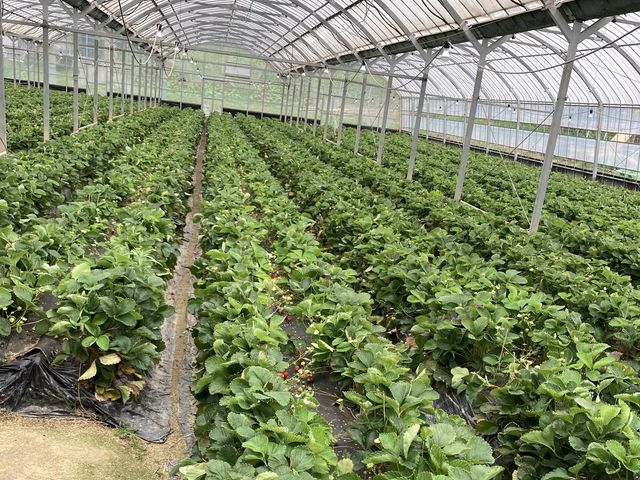 1���[��_�����@��{�_��