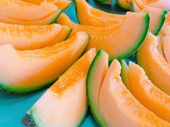 nokentãt[c̗@cւ̓eʐ^1