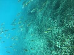 kyo����̂��ƂԌ��C���ւ̓��e�ʐ^1