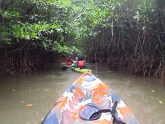 masarû΂鎩Rmւ̓eʐ^5