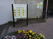 �Ё[����񂳂�̍��c�n��w�O�����̓��e�ʐ^1