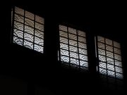 Yanwenli����̔��_�{�w�̓��e�ʐ^4