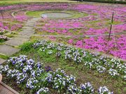 낭܂̏oscكNCp[N݂̓eʐ^2