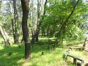 }Cann̓̏̍т̓eʐ^1