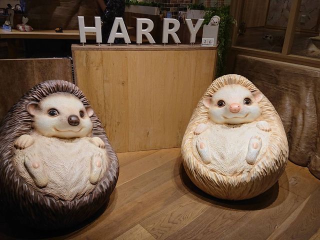 Harry横浜店 予約 アクセス 割引クーポン じゃらんnet