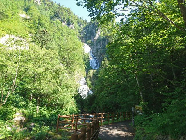 ���ꂢ�ȑ�ł��B_�H�߂̑�