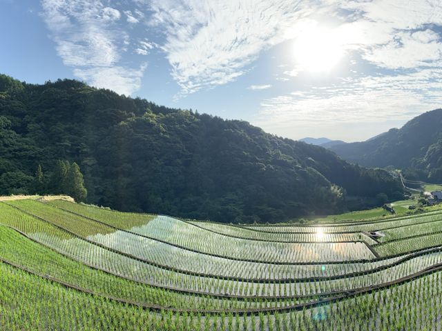 �I�c���Y��I�I_���X�g�n�E�X�@�X�̂����/�A�N�e�B�r�e�B�v���l�b�g�_��