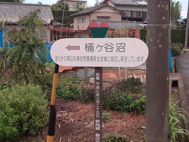 �������_���P�J��