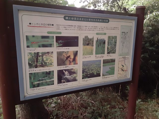 �ē��}_���P�J��