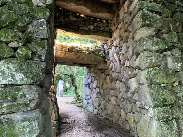 �Ί__�蓇���