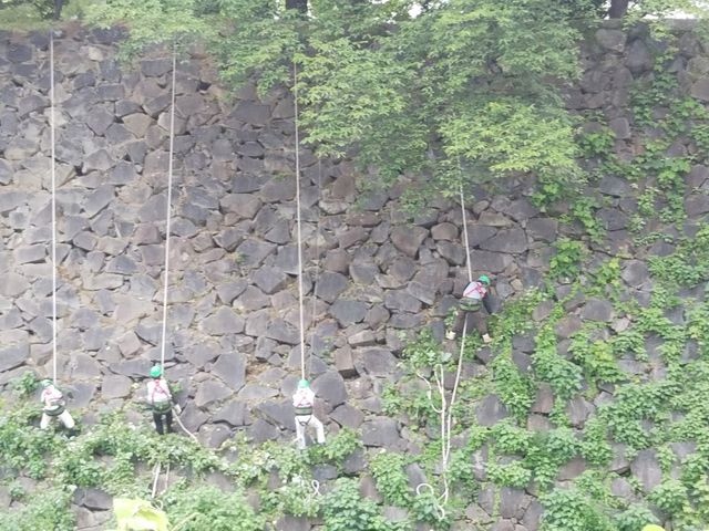 �r���Ō����������É���Ί_�̏�����Ƃ�����l�B_�������