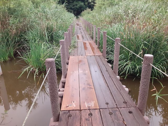 ����_���P�J��