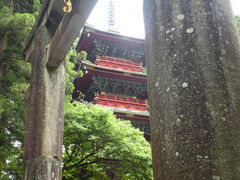 日光東照宮の写真一覧 じゃらんnet