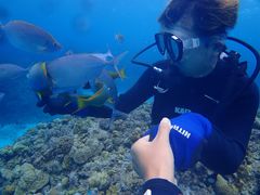 Ȃ߂̃JCU[}Nuւ̓eʐ^1