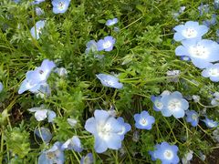 Ťy^AZ(St)ւ̓eʐ^2