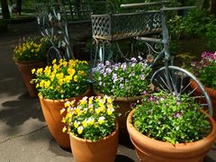 Ťy^AZ(St)ւ̓eʐ^3