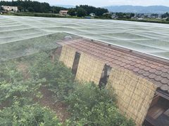 ܂񂳂̈ܖ̋u@Ru[x[ւ̓eʐ^1